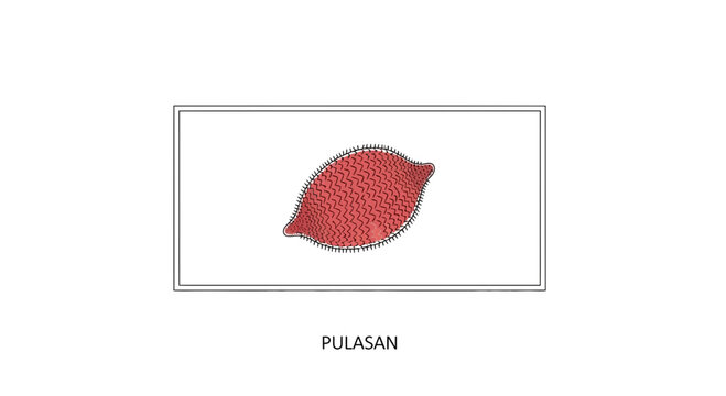 Pulasan Fruit, Exotic Tropical Food, Red Skin, Oval Shape, Isolated on White Background