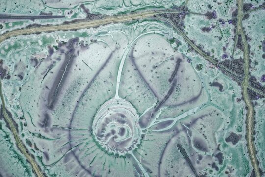 Macro thin section of unique tinguaite from Khibiny. Polished surface shows violet aegirine zones, light green nepheline matrix, lilac fluorite, and rare spotted-bubbly texture. Field of view 15 mm
