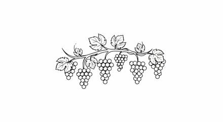 Obraz premium Stylized depiction of grapevines with clusters and leaves
