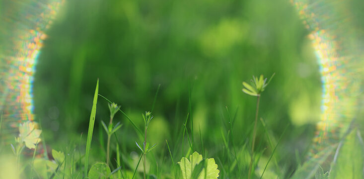 green background, eco concept, sunbeam glare, a frame of light on a summer backdrop of blurred fresh grass