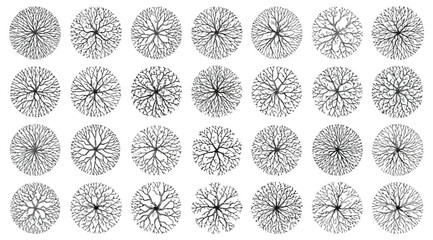 Set of intricate tree crown top view illustrations for landscape architecture © Saharia