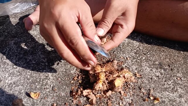 Clean the burnt ginger using a metal spoon.