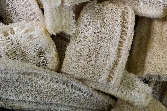Natural loofah sponges close up texture