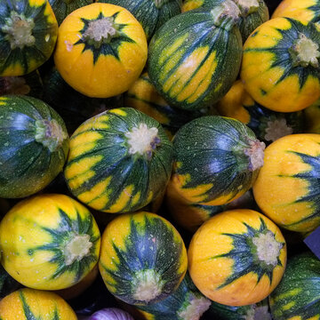 Green and yellow squash at market