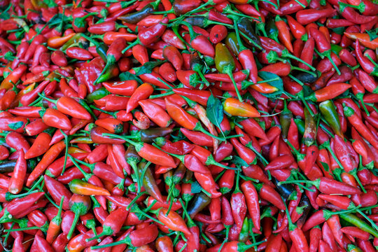 Red chili peppers piled at market