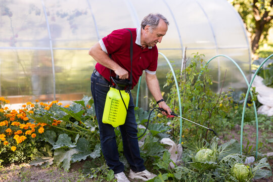 Man gardener working with spraying apparatus
