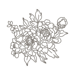 Fototapeta premium Line art of peony leaves and flowers. Hand drawn floral elements. Vector illustration