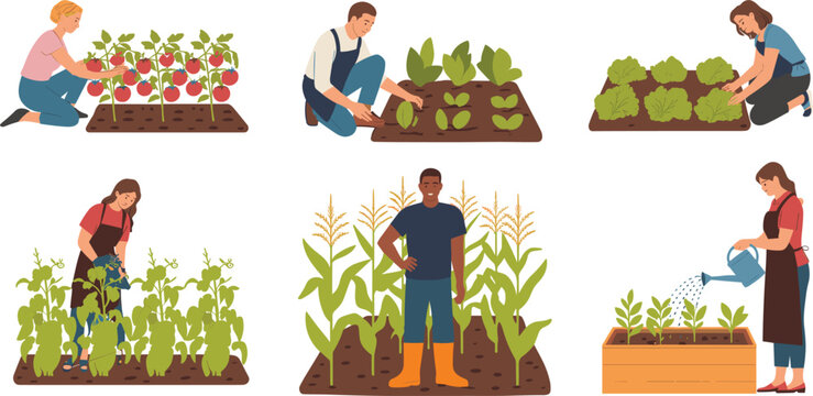 People gardening set, planting watering harvesting vegetables farmers flat vector illustration agriculture lifestyle collection