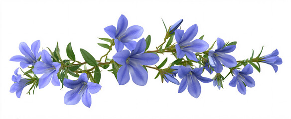 Obraz premium Vibrant blue trailing lobelia flowers evoke joy in garden and floral design projects