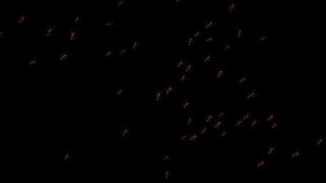Realistic 3D animation of many ants running fast upward at an angle. Starts and ends with empty frame. Clean alpha channel for easy overlay. High-quality macro footage in 4K resolution.