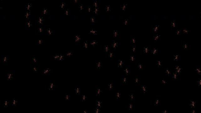 Large swarm of realistic ants moving from the top and bottom toward each other, changing direction naturally to avoid collisions in the center. 4K seamless-style 3D animation with alpha channel.