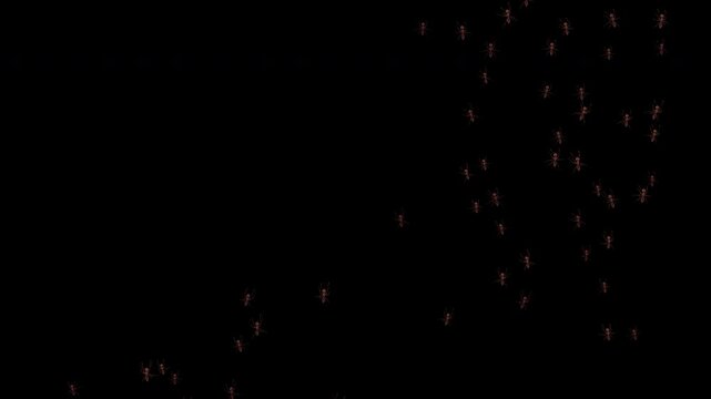 Realistic ants move upward in chaotic swarms from bottom right to left. Seamless loop 4K 3D animation with alpha channel, perfect for overlays, VFX compositing, and nature scenes.