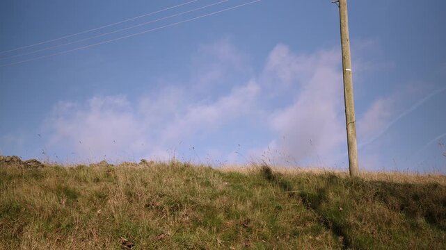 Ground view of a telegraph pole against blue sky stock footage