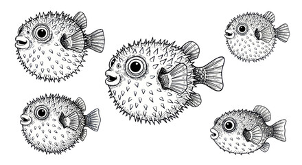 Pufferfish Illustration: Cute, Spiky, Whimsical Marine Life Drawing © nia