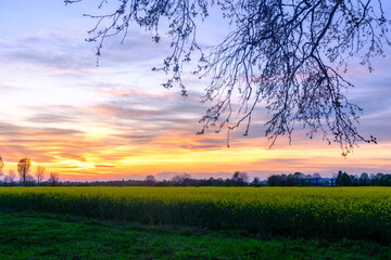 Fototapeta premium Country landscape near Cinisello Balsamo, Milan province, Italy, in a springtime evening