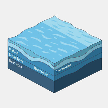 Layered Diagram of Ocean Water Depths.