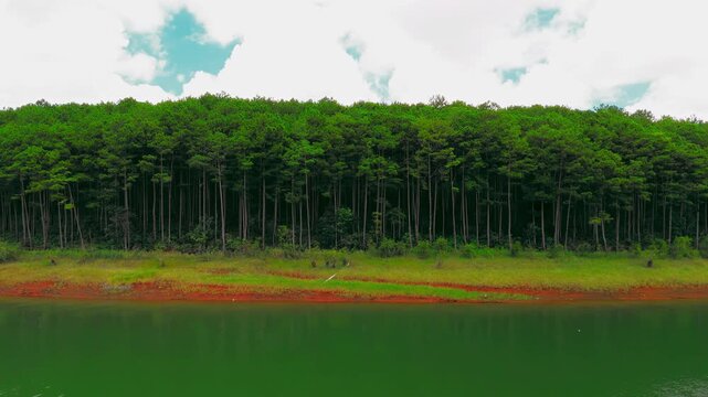 Cinematic aerial flight along a serene pine forest bordering a calm lake. Beautiful contrast between green trees, red soil, and turquoise water under a cloudy sky