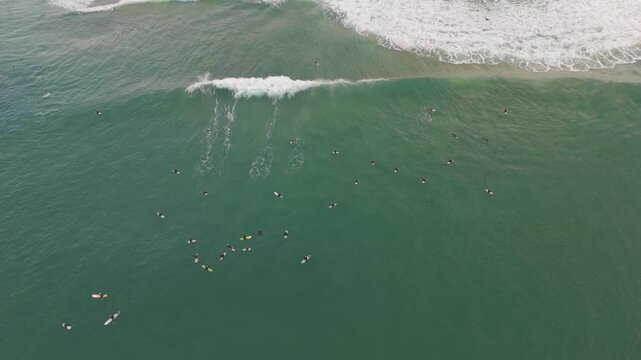 Incredible aerial drone footage captures dozens of surfers scattered across the green ocean waters of Maroubra Beach in Sydney as they paddle and wait for the perfect wave to break