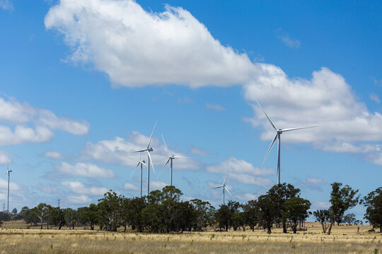 Farming landscape with white wind turbines above gum trees in rural paddock