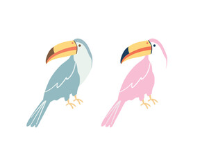 Naklejka premium Cute toucan birds vector illustration in Modern Flat Minimalist Style, modern minimal tropical animals