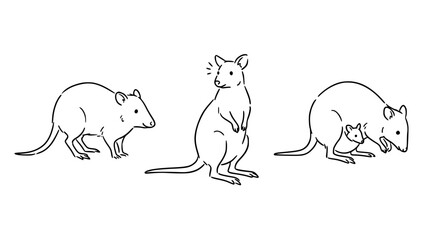 Fototapeta premium Expressive Rodent Characters in Playful Scenes