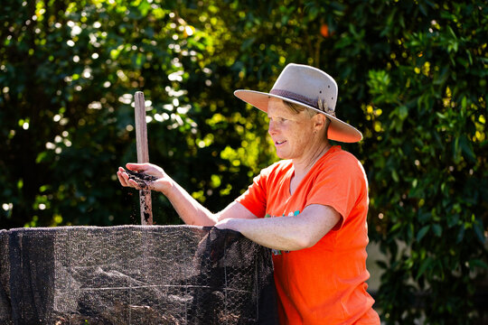 Australian woman in backyard garden checking soil in upright compost container