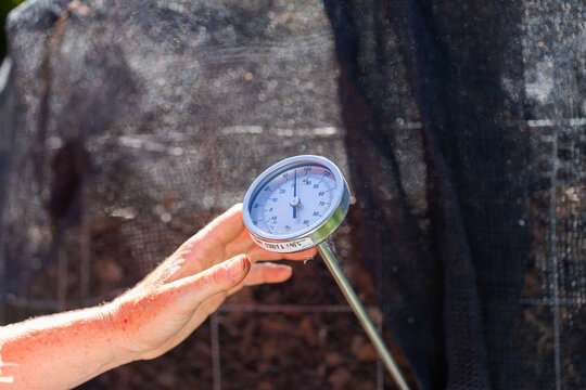 Female environmentalist checking temperature gauge on backyard compost pile