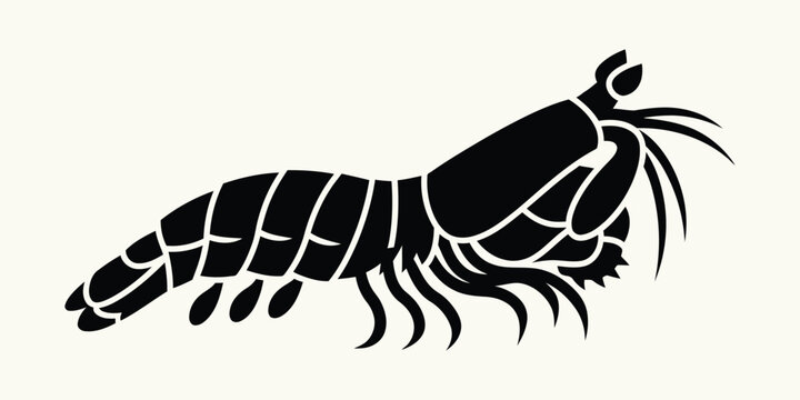 Black Silhouette of a Mantis Shrimp vector
