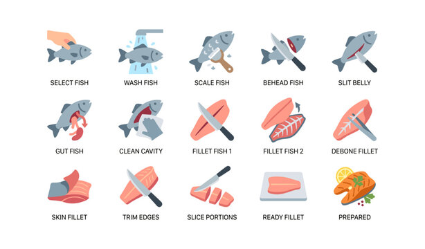 Fish being prepared step by step for filleting in kitchen