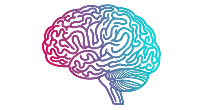 Colorful Brain Illustration: Abstract Gradient Design for Neuroscience, Creativity, and Mind Imagery.