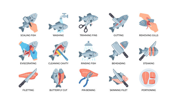Fish processing steps illustrated as labeled preparation icons
