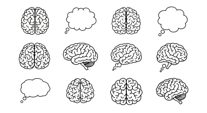 Brain Illustrations Showing Cerebrum, Cortex, and Neuron Diagrams in Various Angles.