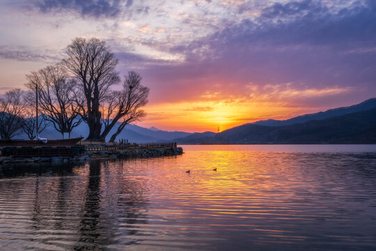 Sunrise landscape over Dumulmeori Lake with ancient zelkova trees and river reflection, Yangpyeong, South Korea

