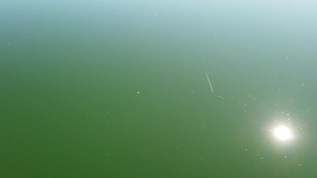Sunlit pond water surface with reflections of airplane contrails