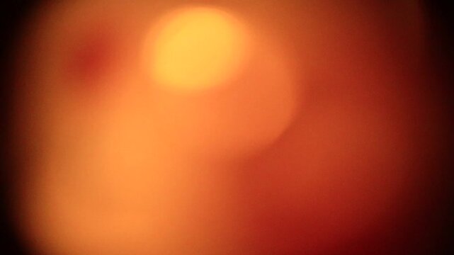 Orange color blur soft move art video banner
