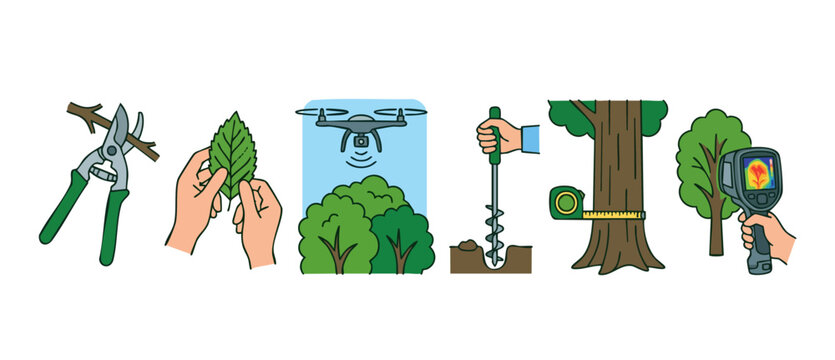 Forestry and Tree Management Icon Set: Pruning, Leaf Inspection, Drone Monitoring, Soil Sampling, Measurement and Thermal Imaging for Environmental Research, Sustainable Forestry and Arboriculture Con