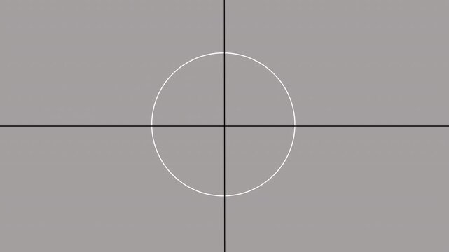 15 second countdown animation with a simple white circle and crosshairs on a gray background. 4k Quality video render