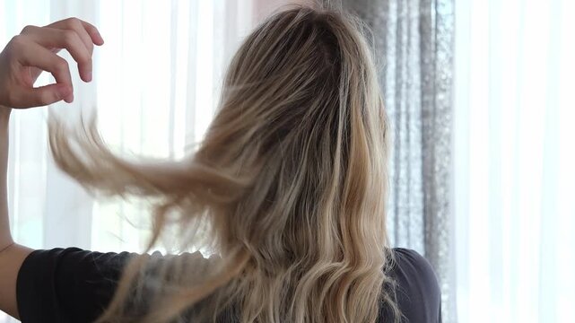 Young woman examining her hair roots and regrowth after highlighting, holding strands to show natural color contrast. Back view, indoor lifestyle scene near window with soft natural light.
