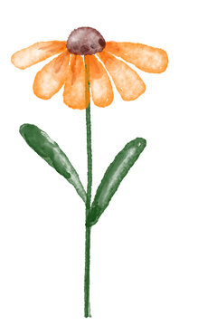 Watercolor flower illustration