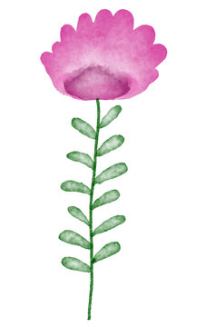 Watercolor flower illustration
