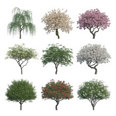 Fototapeta premium Set of different garden trees including blooming fruit trees and green foliage bushes for landscape design and nature illustrations isolated on transparent background