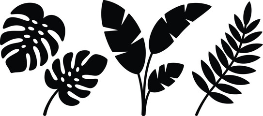 Four tropical leaves on white background © LailaArtworks