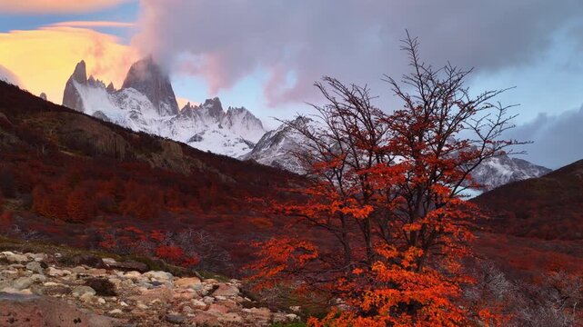 Colourful autumn hiking in Patagonia near mount Fitz Roy, Los Glaciares national park in Patagonia, South America, iconic Mount Fitz Roy in Argentina in the fall, autumn in Patagonia