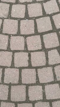 Top view cobblestone paving in park, cinematic texture and neutral gray tones, moss filled grout highlighting curved pattern