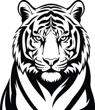 Black and white tiger head close-up portrait