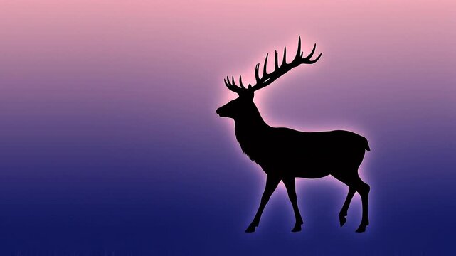 silhouette of a deer