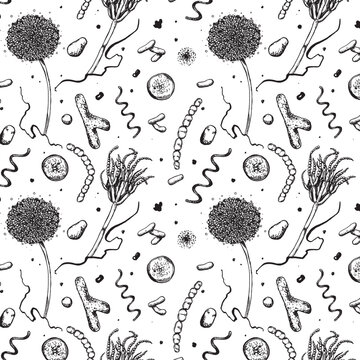  Microbes, microfungi, and bacteria seamless pattern in engraving style. For scientific, educational, and medical materials.