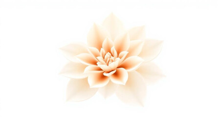 Fototapeta premium Beautiful orange lily and gerbera blossom macro isolated on white background capturing the pure nature and spring floral beauty of a blooming summer plant petal