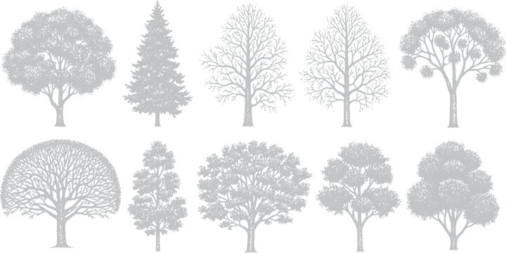 Collection of ten stylized tree silhouettes with white background tree illustration graphic design icon vector art nature element plant element foliage
