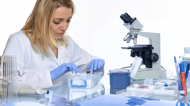 Young european female scientist handling microplate near compound microscope in clinical laboratory